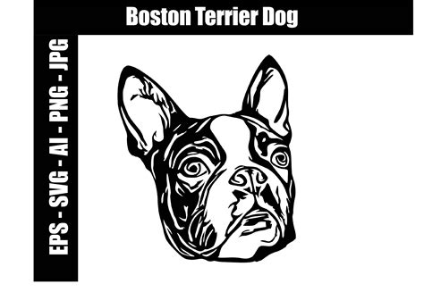 Boston Terrier Svg Eps Ai  Png Graphic By Different By Design