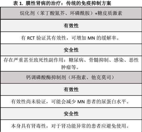 B 细胞免疫调节治疗将成为膜性肾病的新治疗模式 丁香园