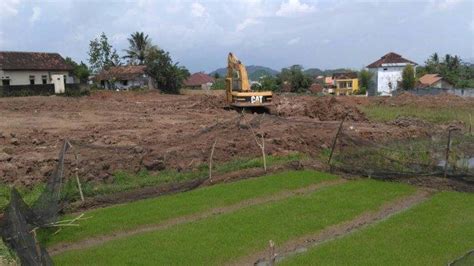 Pemprov Lampung Berlakukan Perda Lp B Untuk Cegah Alih Fungsi Lahan