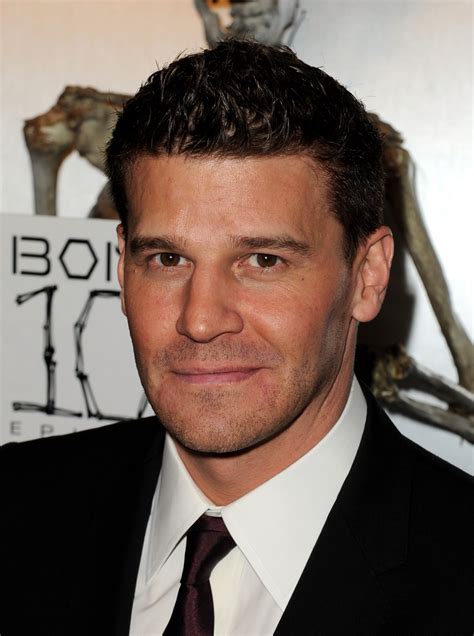 David Boreanaz - Bing images