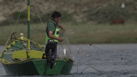 Por Qu El Sistema Nacional De Reas Protegidas Se Involucra En Pesca