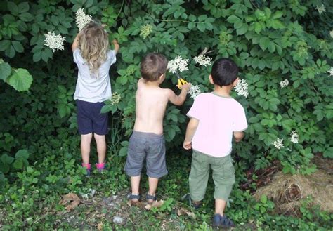 La Voce Del Bosco Nel Livornese Tutta Un Altra SCUOLA