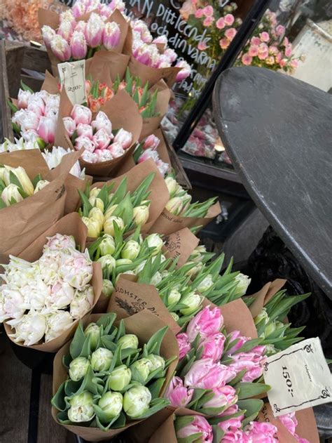 Many Different Types Of Flowers Are On Display