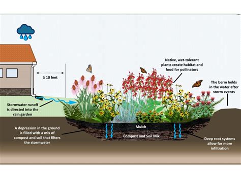 About Us Neo Master Rain Gardener