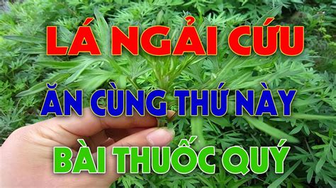 CỨ ĂN NGẢI CỨU Nấu Cùng THỨ Này Sẽ NGỦ NGON,X.ƯƠNG KHỚP khỏi 100% - YouTube