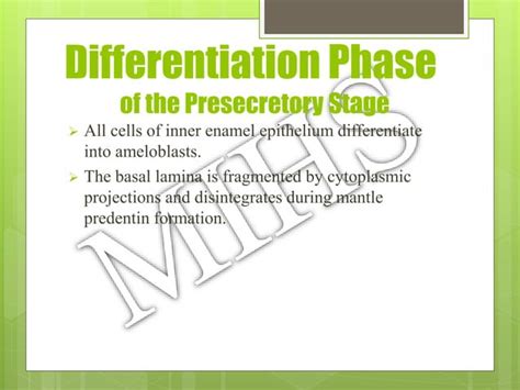 Amelogenesis Ppt