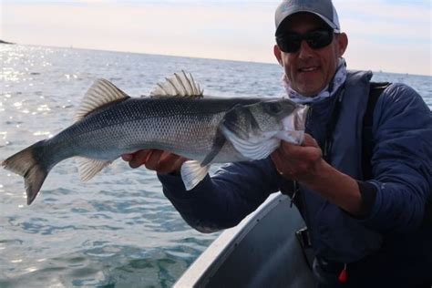 Pesca de la lubina a mosca en Bretaña técnicas y consejos