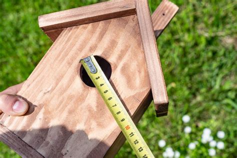 Best Dimensions for Birdhouse Entrance Holes