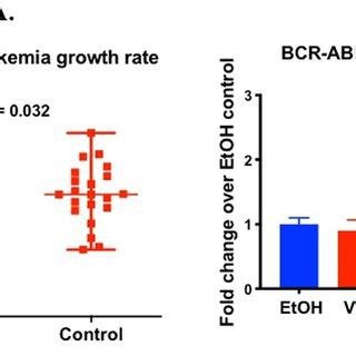 1 25 OH 2VD 3 Increases BCR ABL ALL Cell Number In Vivo And In Vitro