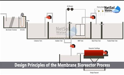 What are the Design Principles of the MBR Process