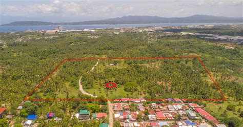 15 908 Hectare Land For Sale In Mudiang Ilang Davao City Dakbayan Realty