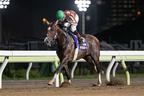 2023年06月19日の記事 地方競馬の楽天競馬｜日替わりライターブログ 楽天ブログ