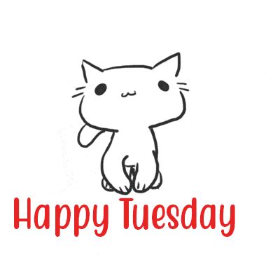 Happy Tuesday Cat GIF | GIFDB.com