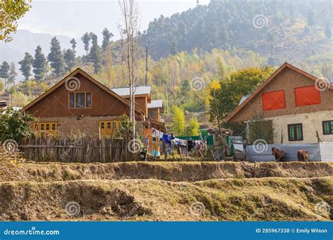 Houses in a Village in Jammu and Kashmir Stock Photo - Image of people ...