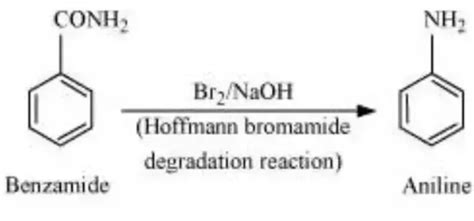 State Whether The Following Statements Are True Or False Benzamide On