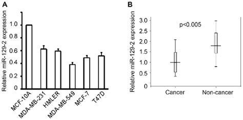 MiR 129 2 Is Dysregulated In Breast Cancer A The MiR 129 2 Level Was