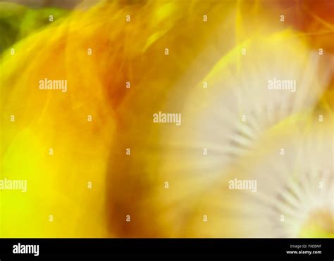 blurry abstract background Stock Photo - Alamy