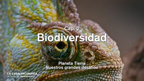 Planeta Tierra Biodiversidad Cap 2 Youtube