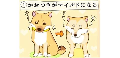 犬 可愛い 画像 イラスト