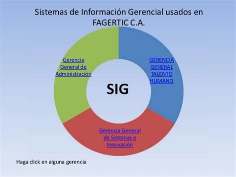 Modelo De Sistema De Información Gerencial Sig