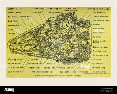 Labelled Diagram Fotos Und Bildmaterial In Hoher Aufl Sung Alamy