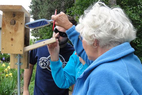 How To Be A Bluebird Babe