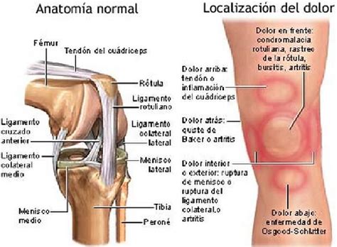 Noticias Dr Eduardo Reyes J Acome