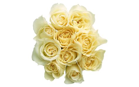 White rose flower bouquet HD wallpaper | Wallpaper Flare