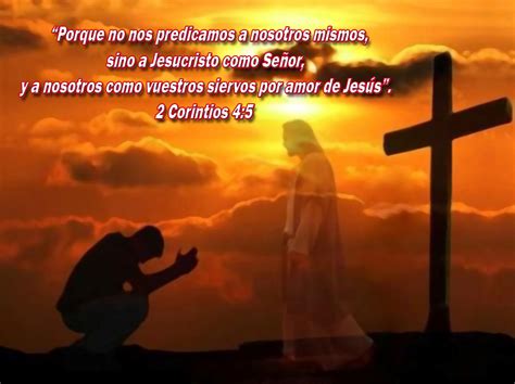 Opiniones De Siervo De Dios
