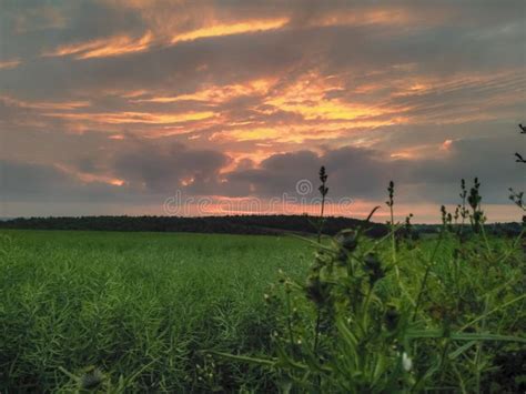 Sunset Over Farmland Stock Photo Image Of Evening Dusk 118556756