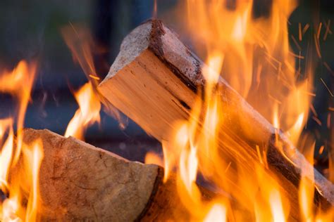 Holz Der Nachwachsende Rohstoff Der Zukunft Aus Der Region