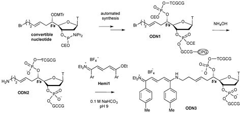 Oligonucleotide Labelling Using A Fluorogenic “click” Reaction With A