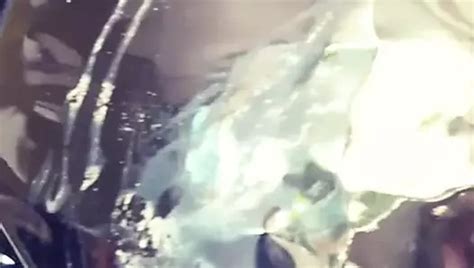 Vinyl Scratch Cum Free Man Hd Porn Video D Xhamster