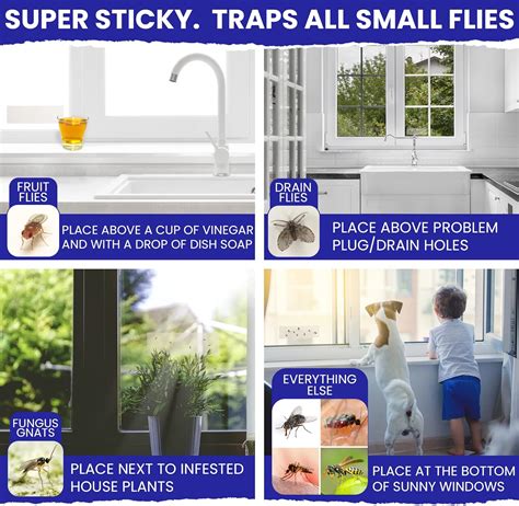 Trampas Para Moscas De Ventana Para Interiores Paquete De Tiras