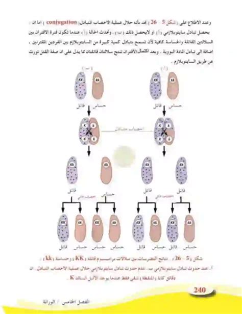 التضريب العكسي للحالة أعلاه في مثال رقم 1 خالد الثلجة الوراثة ما