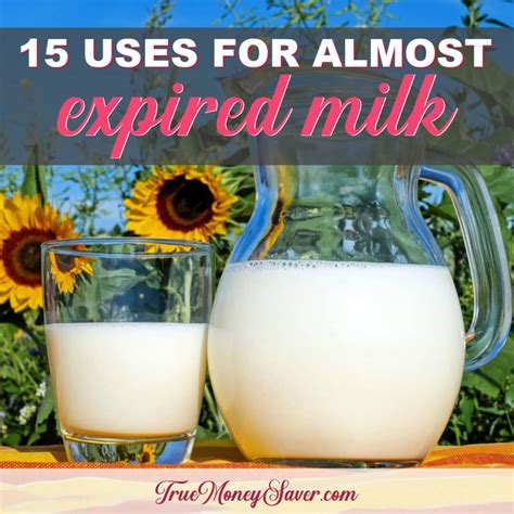 How To Use Up Almost Expired Milk With Over 15 Of The Best Recipes