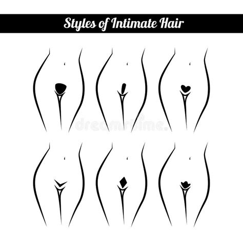 Scheme Of Hair Removal Bikini Zone Stock Vector Illustration Of