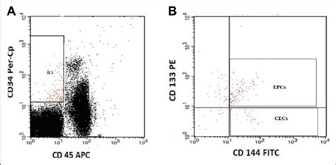 Flow Cytometric Detection Of Circulating Endothelial Cells Cecs And