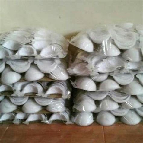 Jual Sarang Walet Imitasi Plastik Palsu Mangkok Shopee Indonesia