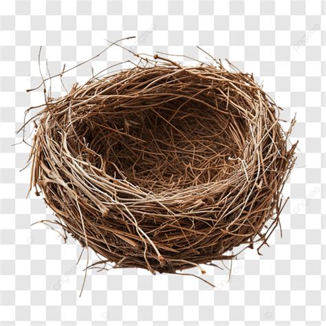 Empty Bird Nest Isolated On White Background With Clipping Path And