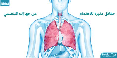 حقائق مثيرة للاهتمام عن جهازك التنفسي Nisita® Arabia