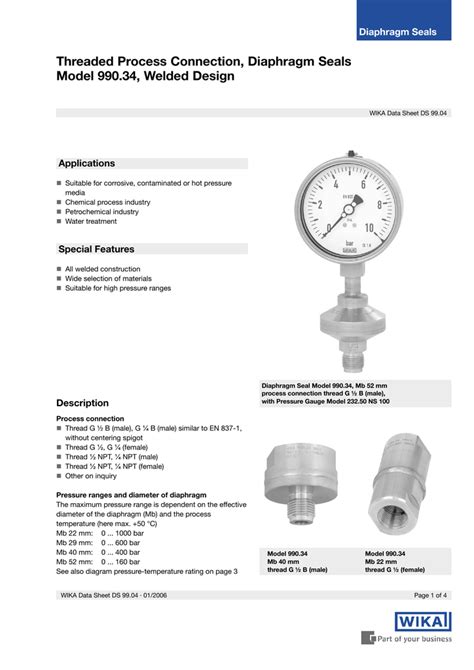 Measuring Instruments With Diaphragm Seals Which Process Connection For