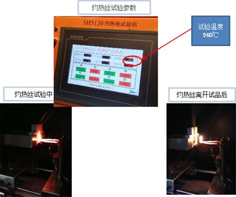 Shanghai Liangxin Electrical Co Ltd Nader Solemn Statem Quisure