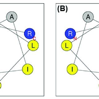 Helical Wheel Projections Of A Pro9 3 And B R Pro9 3 Using