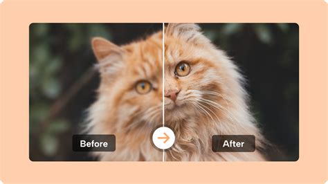 Transforming Visuals with Precision Using High Quality Image Converter