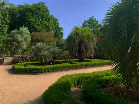 Le Jardin Des Plantes De Montpellier Médecine Et Botanique Depuis 400