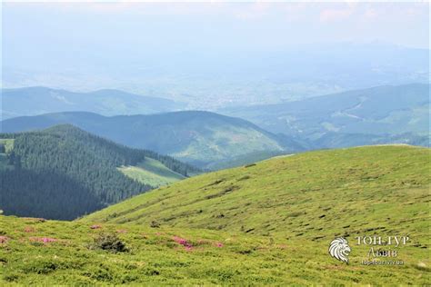 Гора Говерла, її природа, легенди та маршрути для сходження