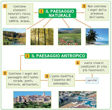 Mappa Concettuale Paesaggio Naturale Paesaggi Mappe Concettuali Mappa