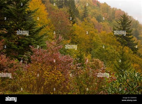 Autumn, Blue Ridge Parkway, NC Stock Photo - Alamy