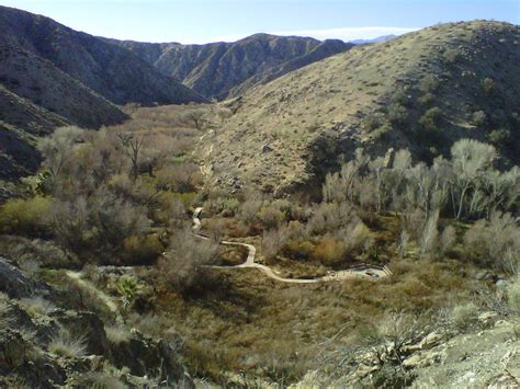 The Best Morongo Valley Nature Wildlife Tours With Prices